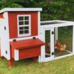 Overez Chicken Coop Shark Tank Update