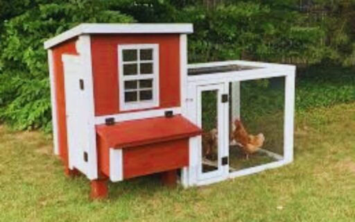 Overez Chicken Coop Shark Tank Update