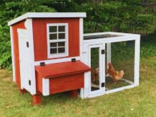 Overez Chicken Coop Shark Tank Update